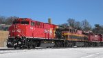 CP 7436